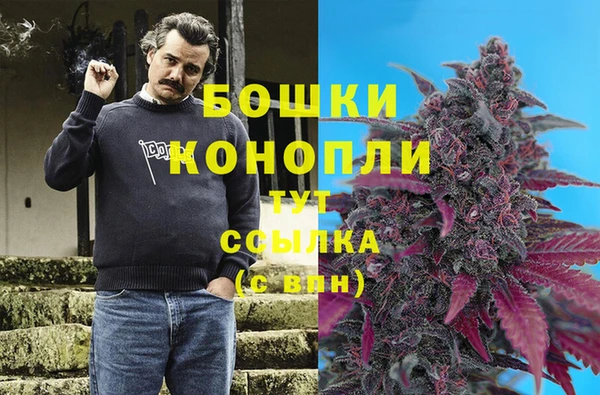 ALPHA PVP Горно-Алтайск